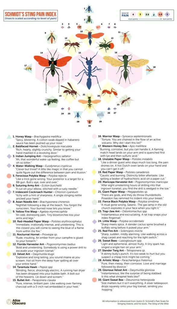 Schmidt's Sting Pain Index