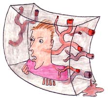 So whether it is by coherent oscillations, standing waves, or some kind of Fourier code, somehow the tissue of the brain must be capable of generating three-dimensional moving images as rich and complex as this image of me that you see here.