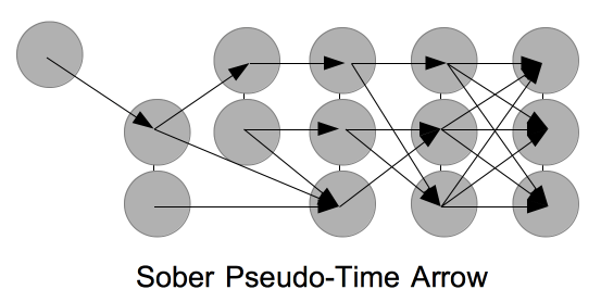 The rightmost nodes and edges are the most recent qualia triggered by sensory input. Notice how the nodes and edges vanish probabilistically with each time step, making the old layers sparsely populated.
