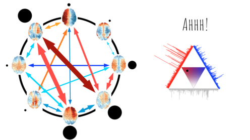 yay wow connectome